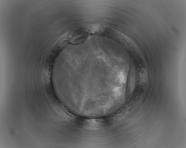 X0000111220558200907301228