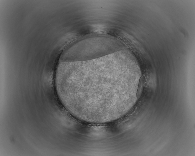 X0000111220560200907301228