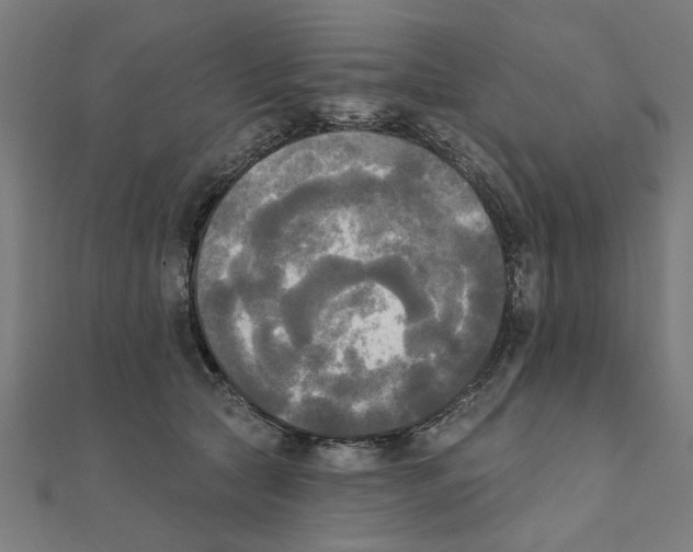 X0000111220561200907301228