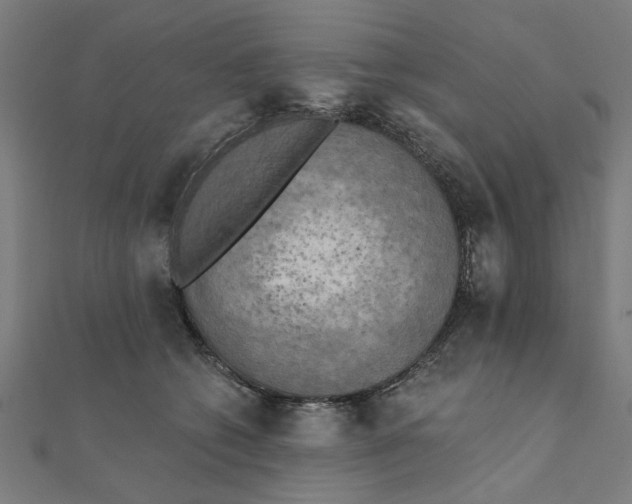 X0000111220562200907301228