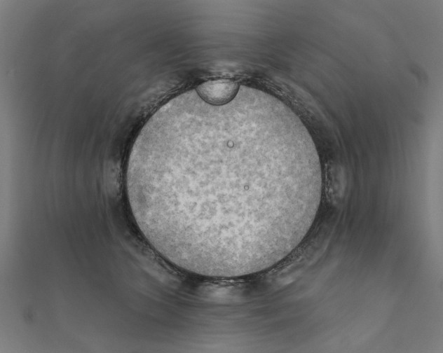 X0000111220563200907301228