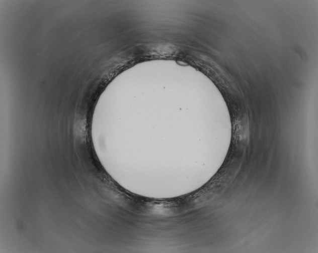 X0000111220564200907301228