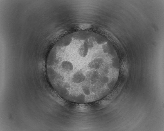 X0000111220565200907301228