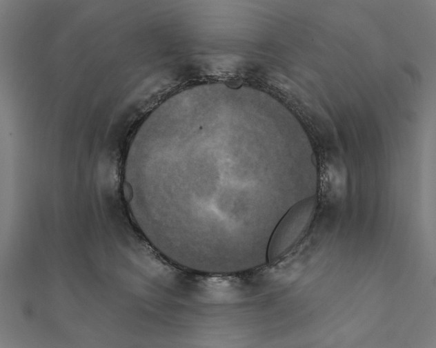 X0000111220566200907301228
