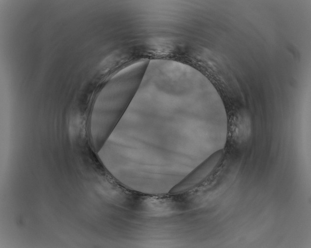 X0000111220568200907301228