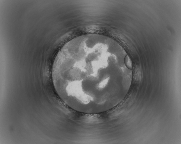 X0000111220569200907301228