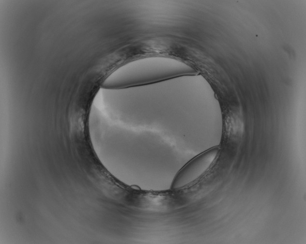 X0000111220570200907301228