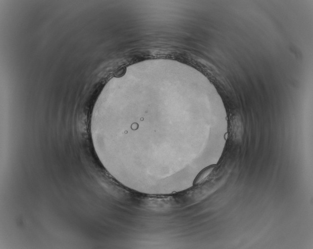 X0000111220571200907301228