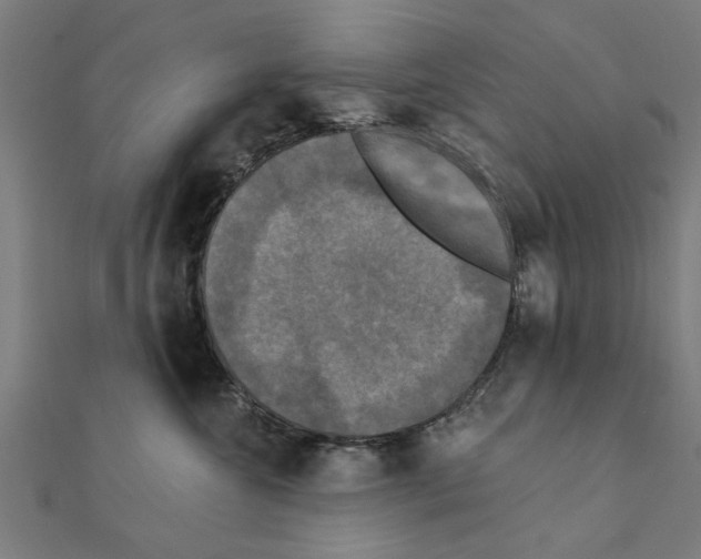 X0000111220572200907301228