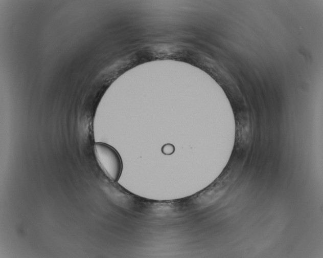 X0000111220574200907301228