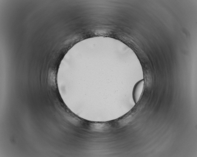 X0000111220575200907301228