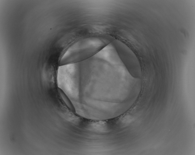 X0000111220576200907301228
