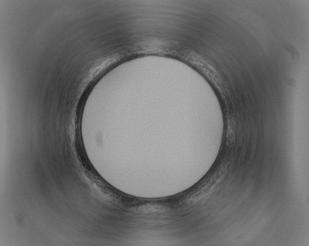 X0000111220578200907301227