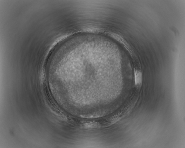 X0000111220579200907301227