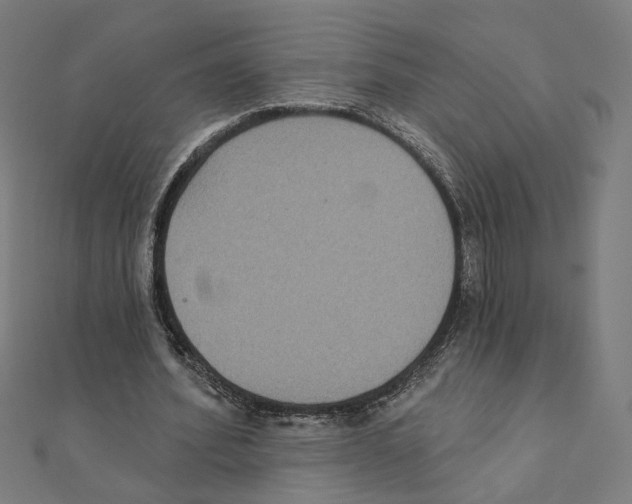 X0000111220580200907301227