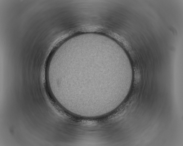X0000111220582200907301227