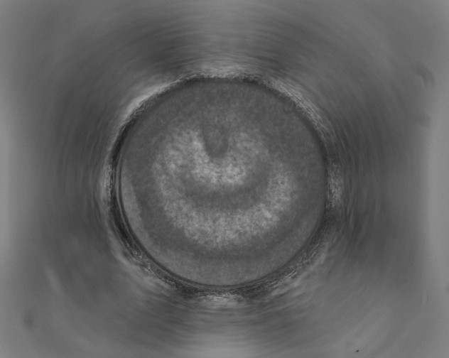 X0000111220583200907301227