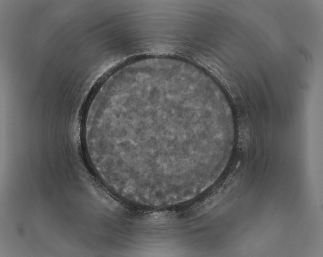 X0000111220584200907301227