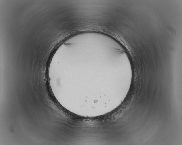 X0000111220585200907301227