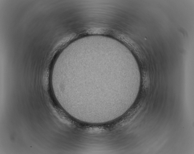 X0000111220586200907301227