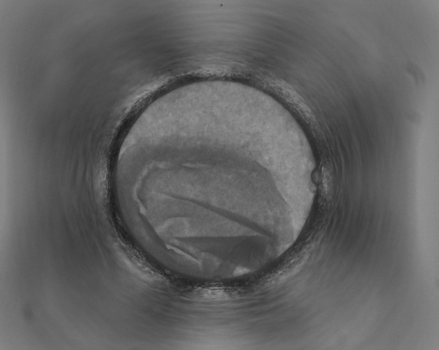 X0000111220588200907301227
