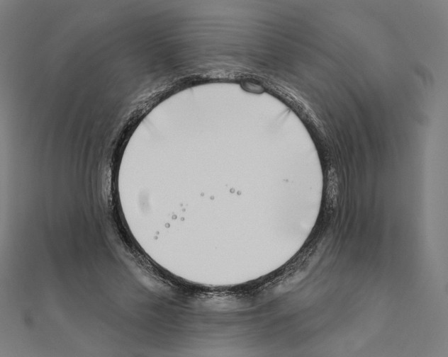 X0000111220589200907301227