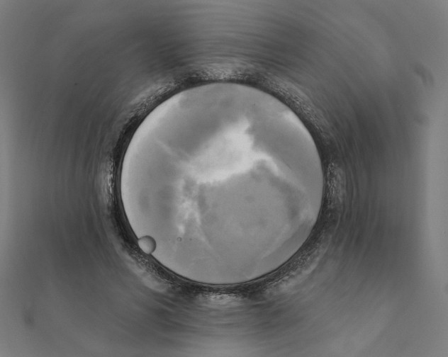 X0000111220590200907301227