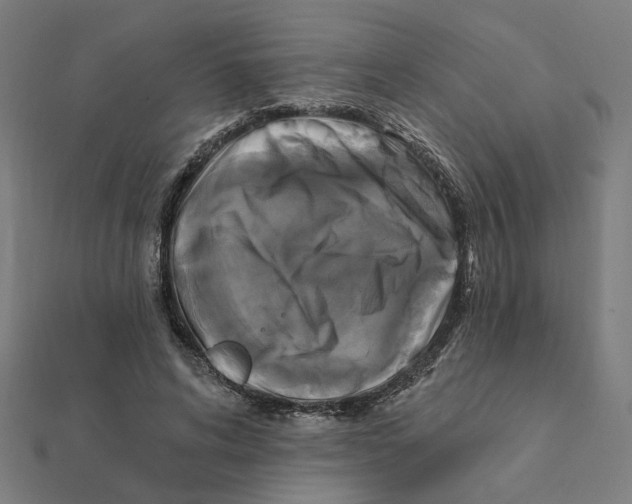 X0000111220592200907301227