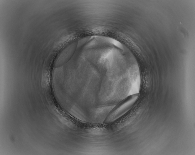 X0000111220593200907301227