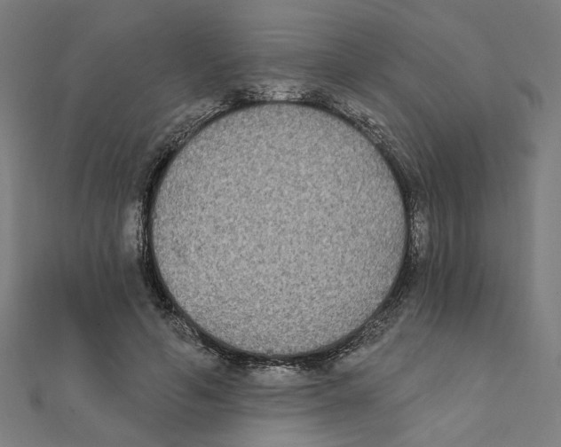 X0000111220594200907301227