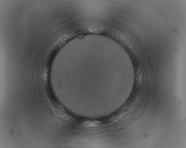 X0000111220595200907301227