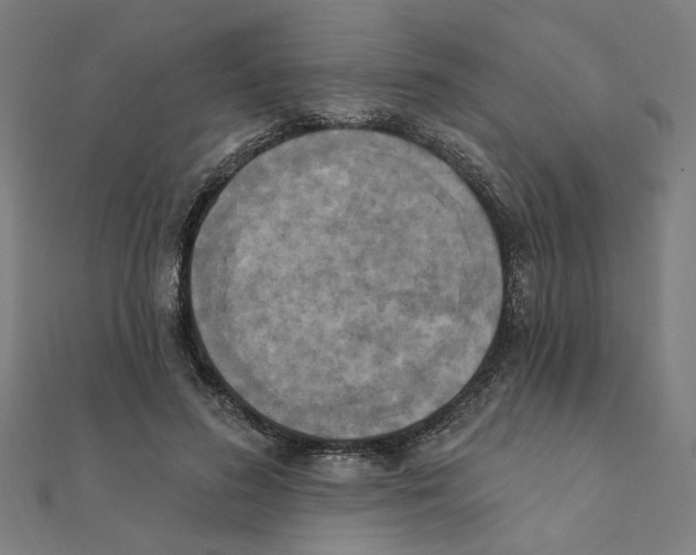 X0000111220596200907301227