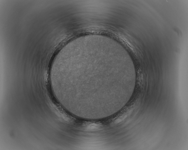 X0000111220597200907301227