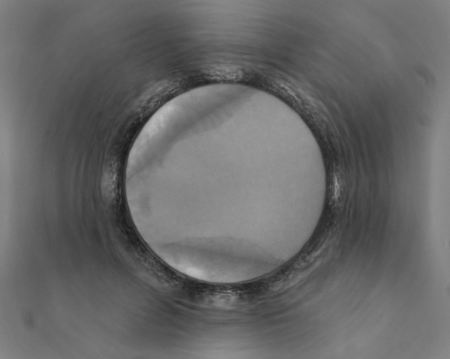X0000111220600200907301227