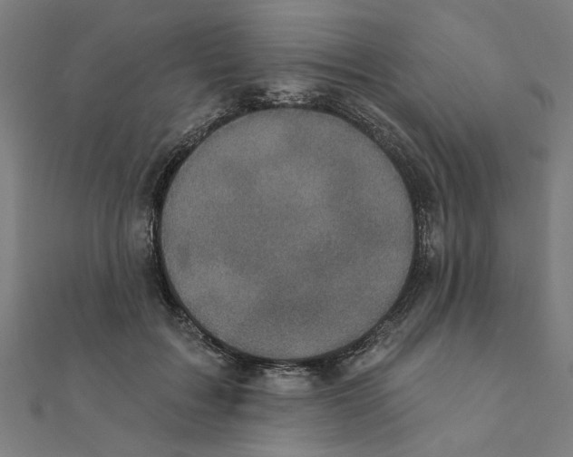 X0000111220603200907301227