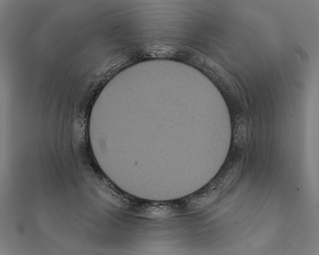 X0000111220604200907301227