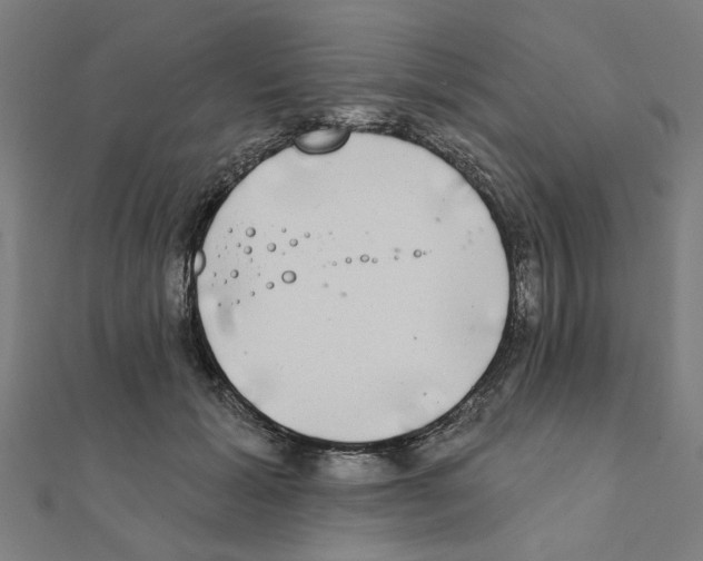 X0000111220605200907301227