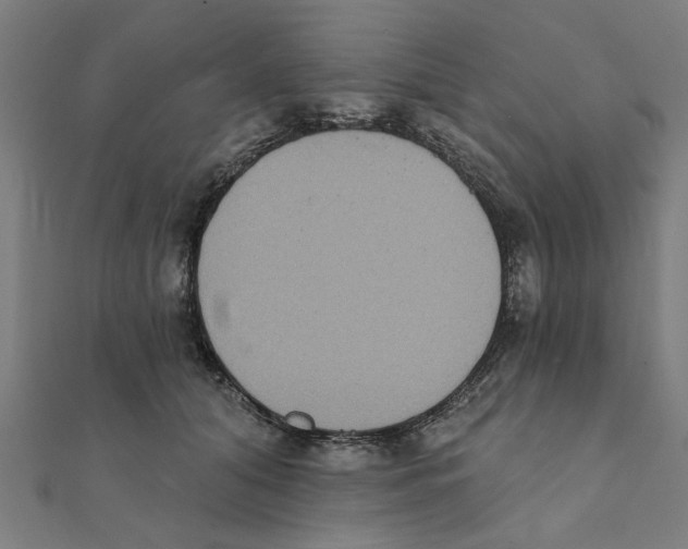 X0000111220608200907301227