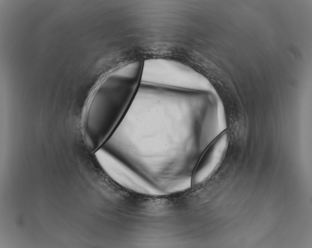 X0000111220609200907301227