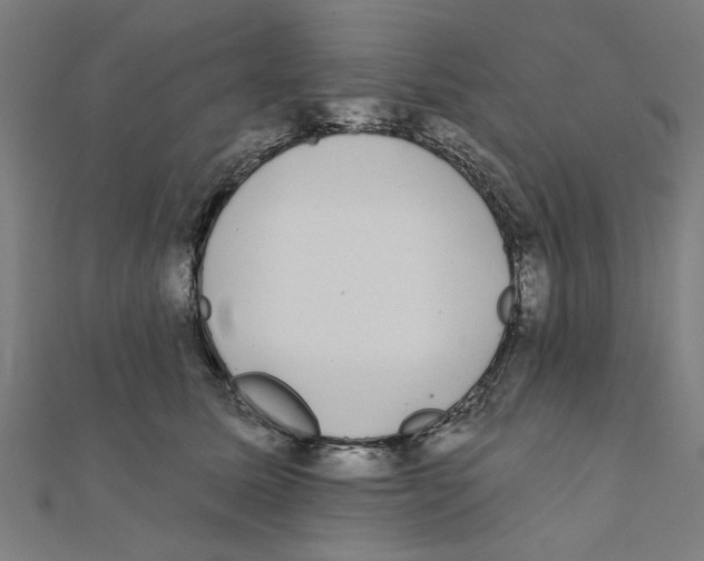 X0000111220611200907301227
