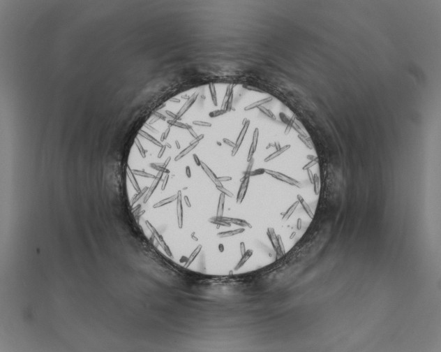 X0000111220612200907301227