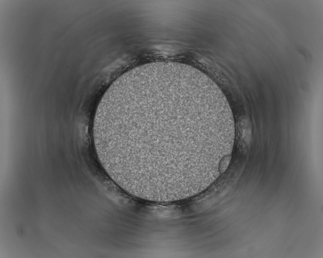 X0000111220615200907301227