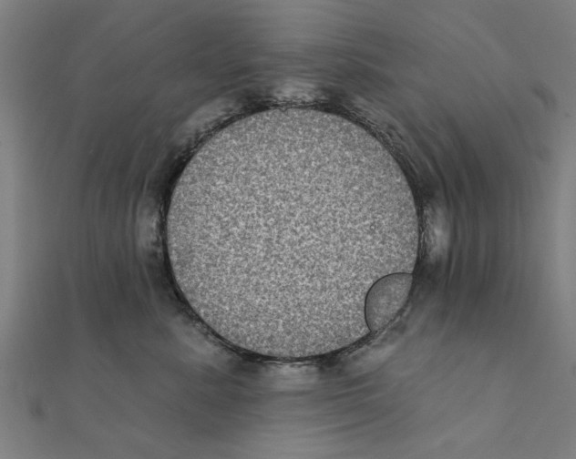 X0000111220619200907301227