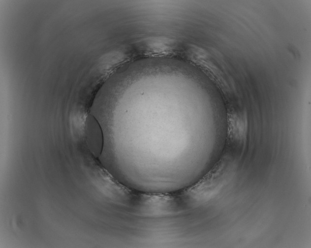 X0000111220621200907301227
