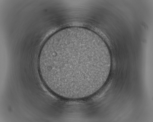 X0000111220625200907301226