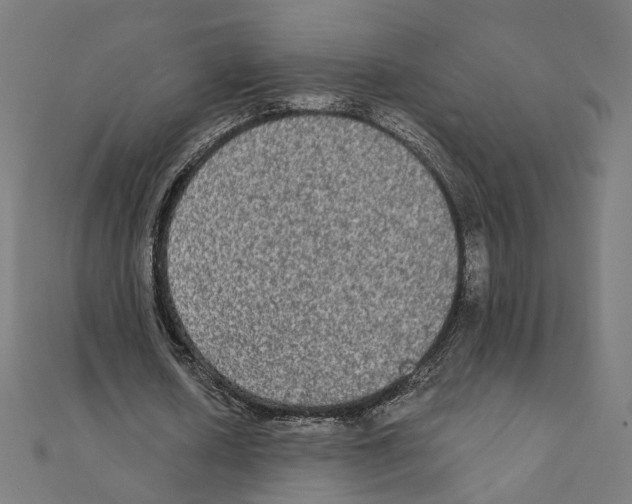 X0000111220626200907301226
