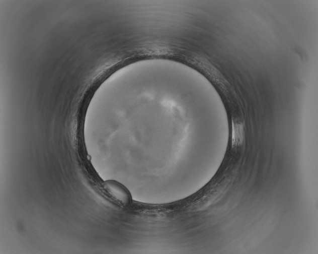 X0000111220627200907301226