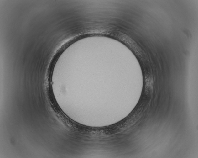 X0000111220628200907301226