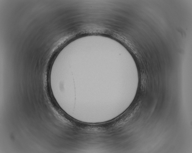 X0000111220629200907301226
