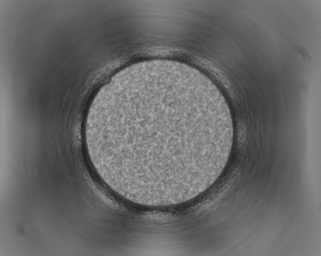 X0000111220633200907301226